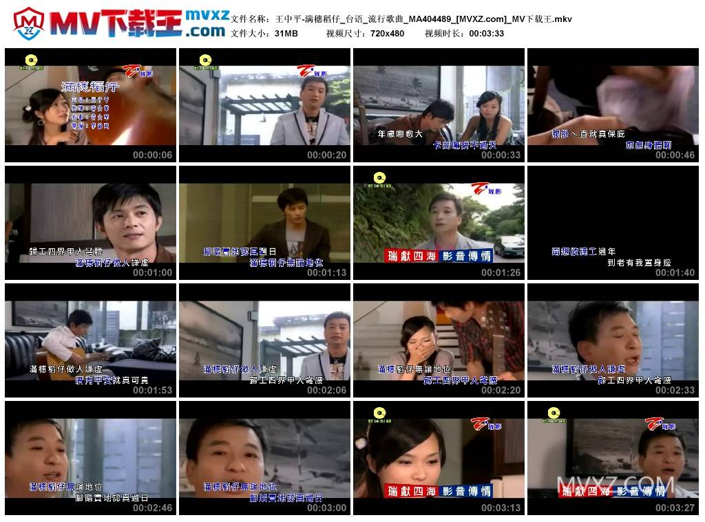 王中平-满穗稻仔_台语_流行歌曲_MA404489